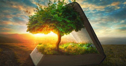 A tree and garden grow out of the pages of the Bible